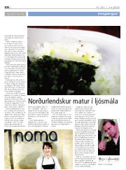 Síða 26