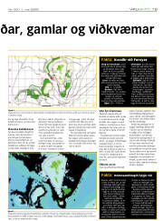 Síða 19