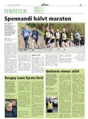 Síða 17