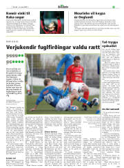 Síða 19