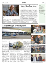Síða 31