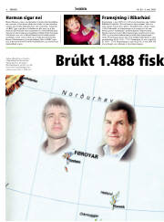 Síða 8