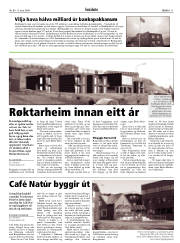 Síða 11