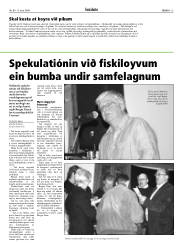 Síða 13