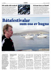 Síða 20