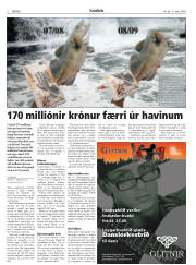 Síða 2