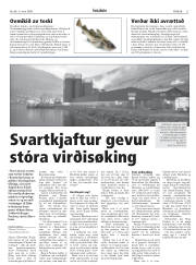 Síða 11