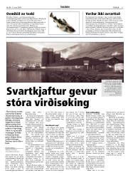 Síða 11
