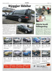 Síða 45
