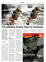 Síða 2