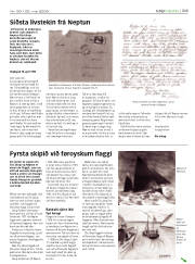 Síða 33
