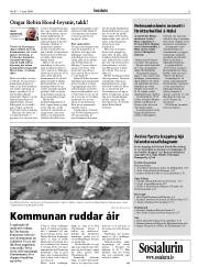 Síða 13