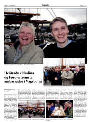 Síða 17
