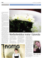 Síða 44