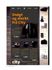 Síða 12