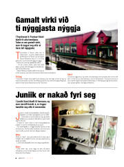 Síða 32