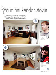 Síða 41