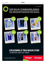 Síða 3