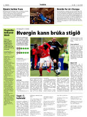 Síða 22
