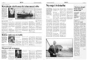 Síða 6