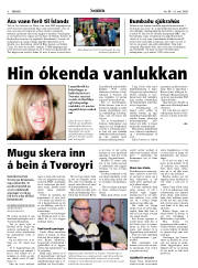 Síða 8
