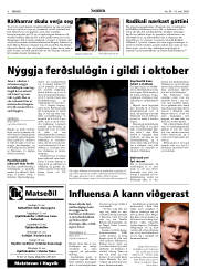 Síða 8