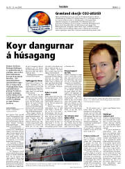 Síða 13