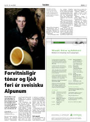 Síða 19
