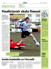 Síða 22