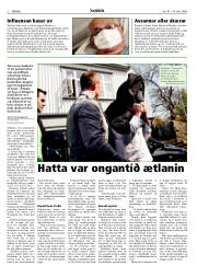 Síða 2