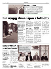 Síða 13