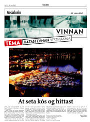 Síða 17
