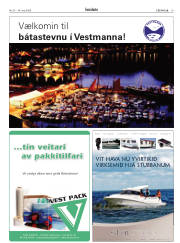 Síða 19