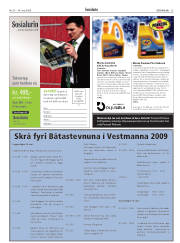 Síða 25