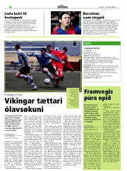 Síða 30
