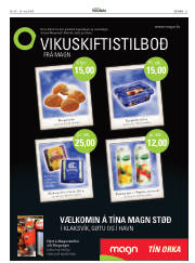 Síða 21