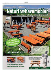 Síða 27