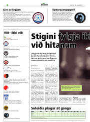 Síða 32
