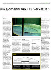 Síða 15