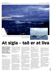 Síða 20