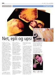 Síða 26