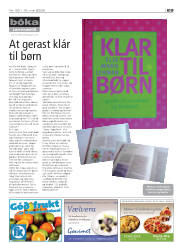 Síða 29