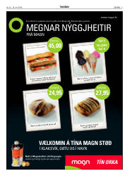 Síða 3