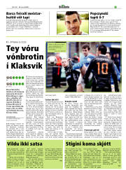 Síða 17