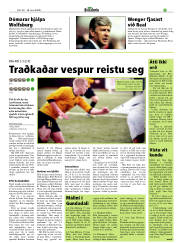 Síða 19