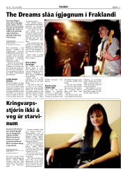 Síða 13