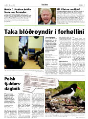 Síða 9
