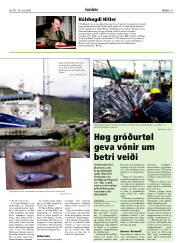 Síða 11