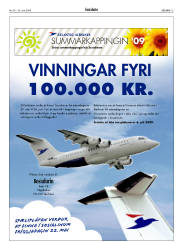 Síða 15