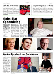 Síða 17